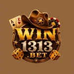 WIN1313 Game