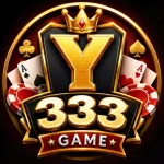 Y333 Game